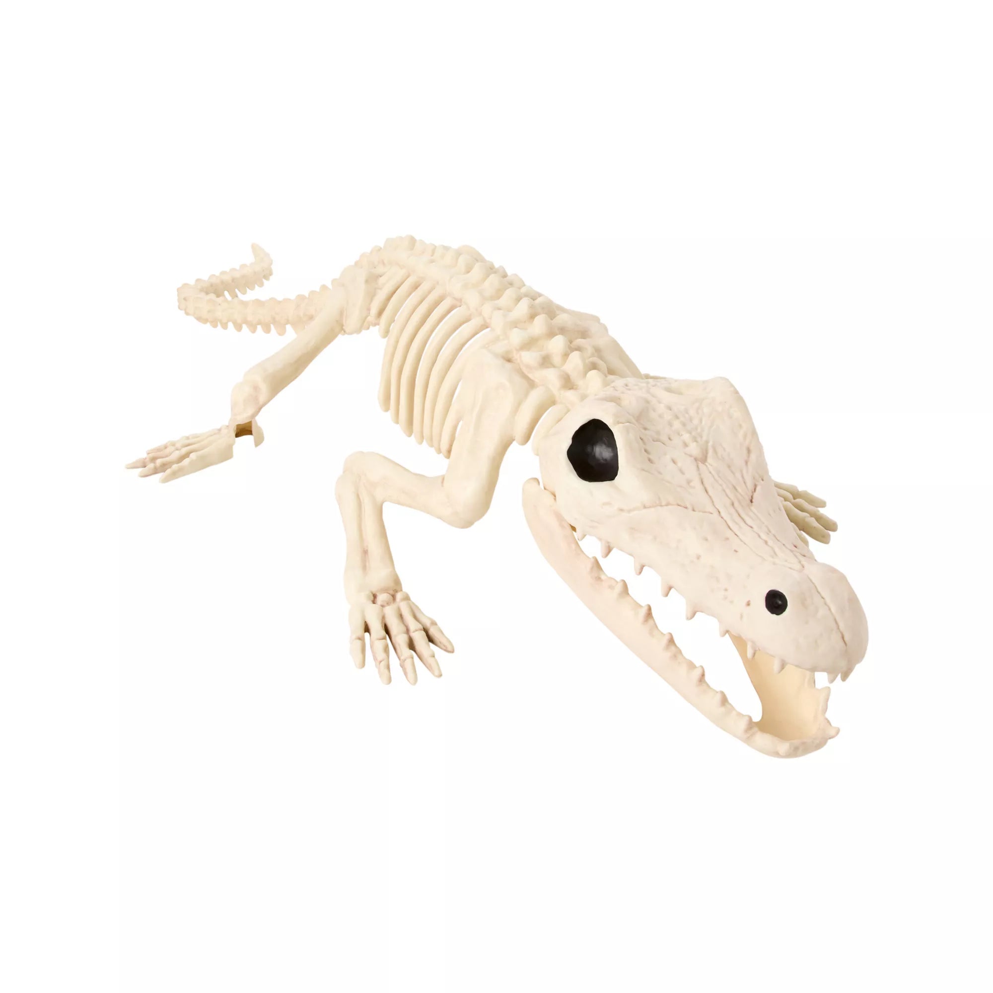 Crocodile Skeleton Static Prop