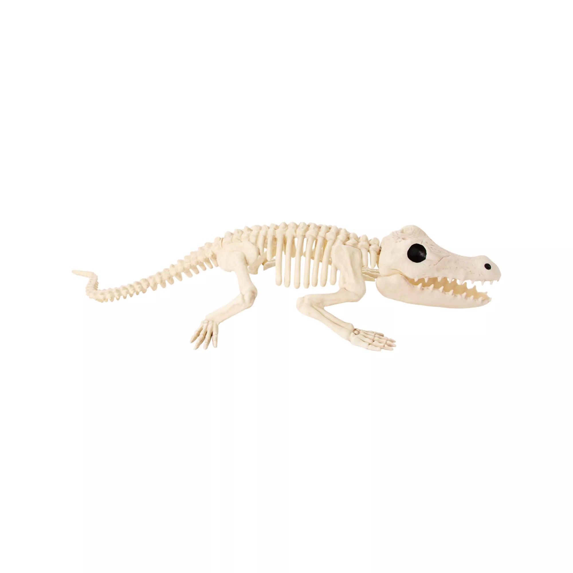 Crocodile Skeleton Static Prop