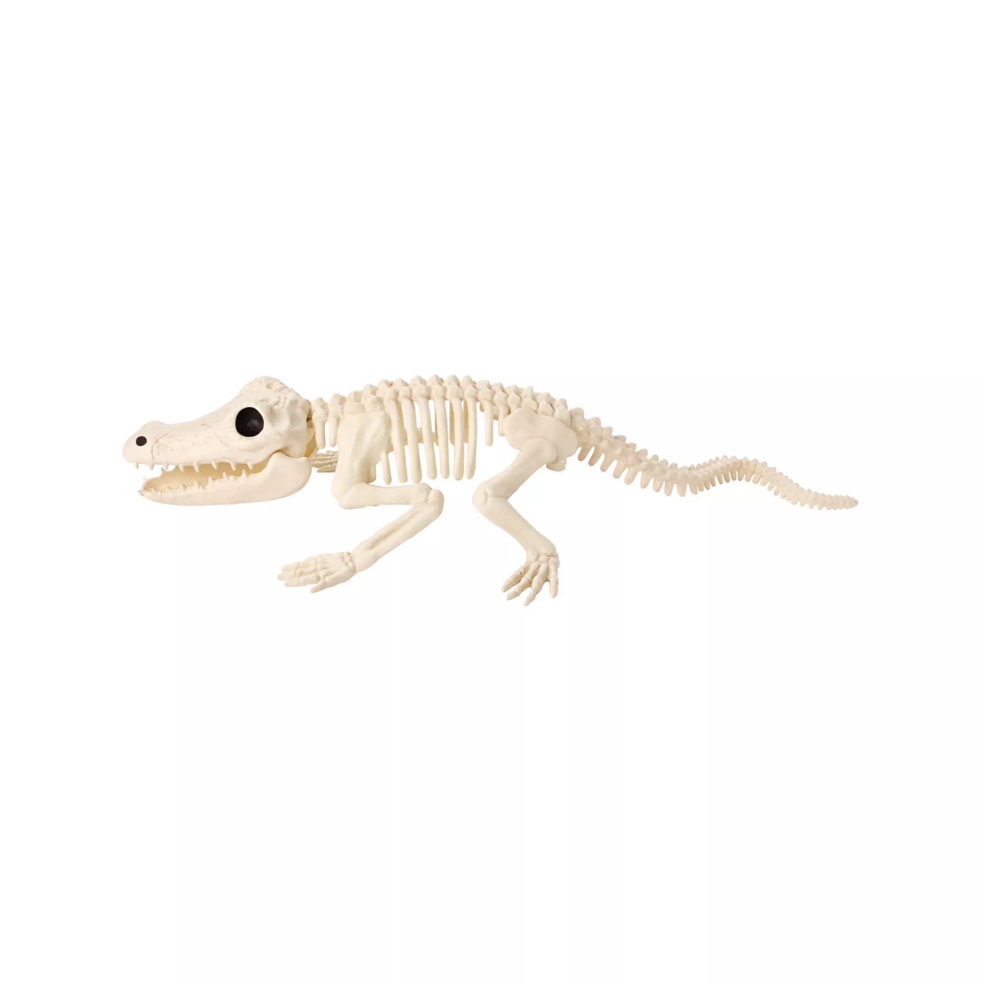 Crocodile Skeleton Static Prop