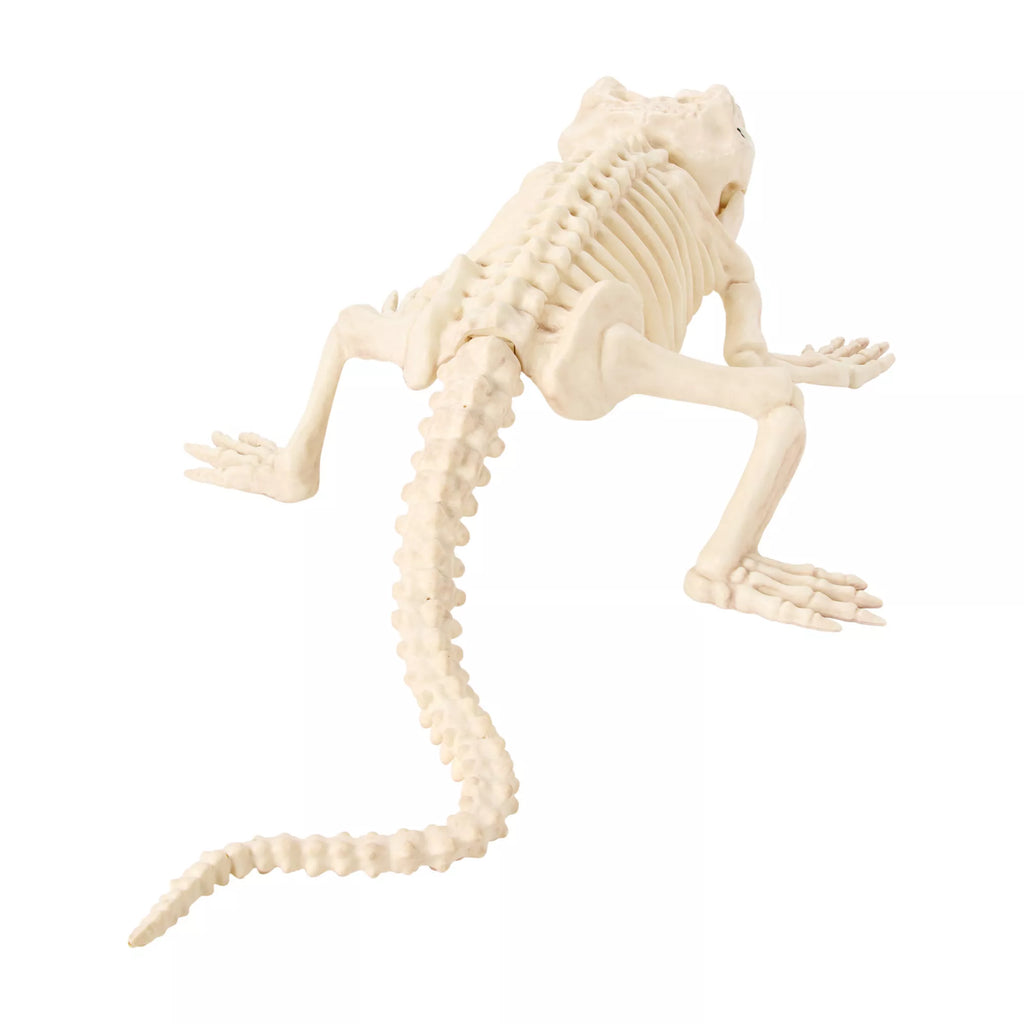 Crocodile Skeleton Static Prop