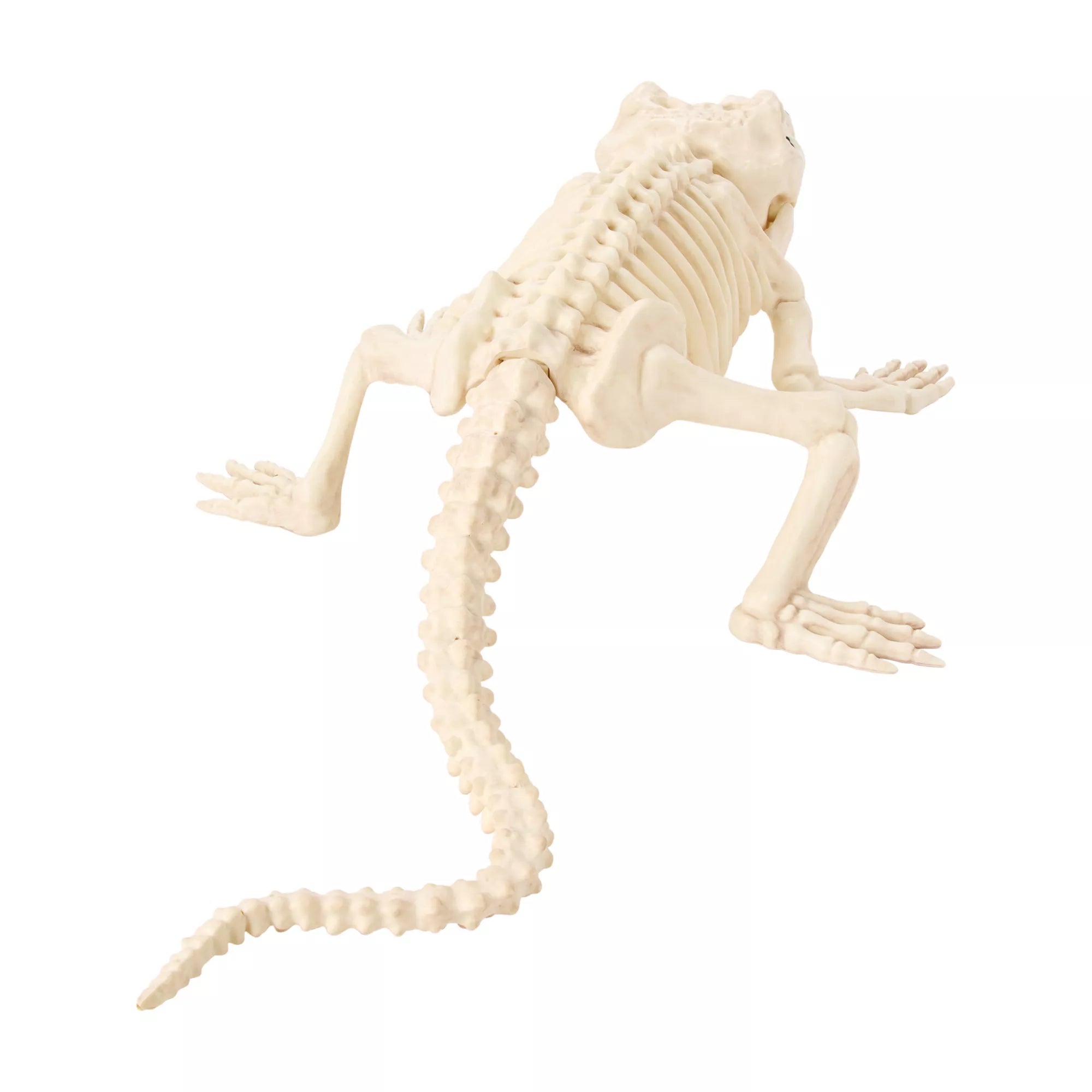 Crocodile Skeleton Static Prop