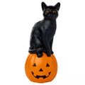 10.6" Light-Up Blow Mold Pumpkin Cat