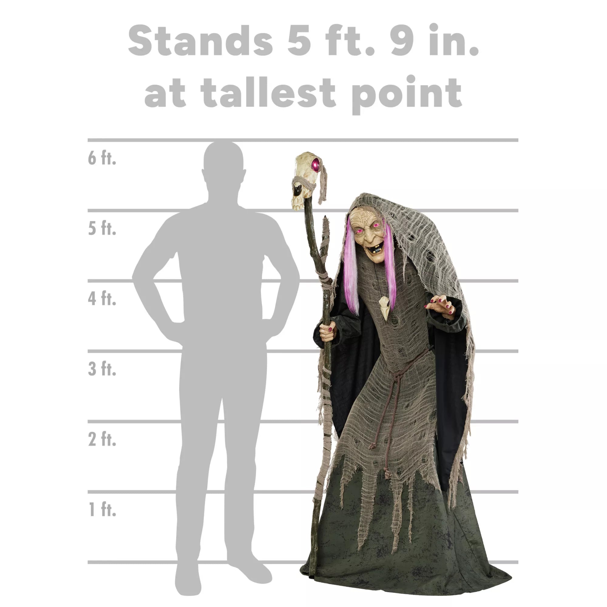 5 Ft 9 In Willow Witch Animatronic
