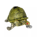 Two Headed Turtle