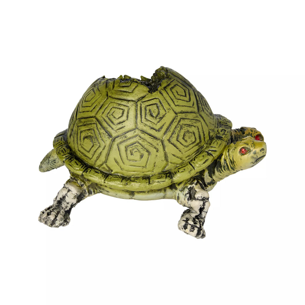 Two Headed Turtle