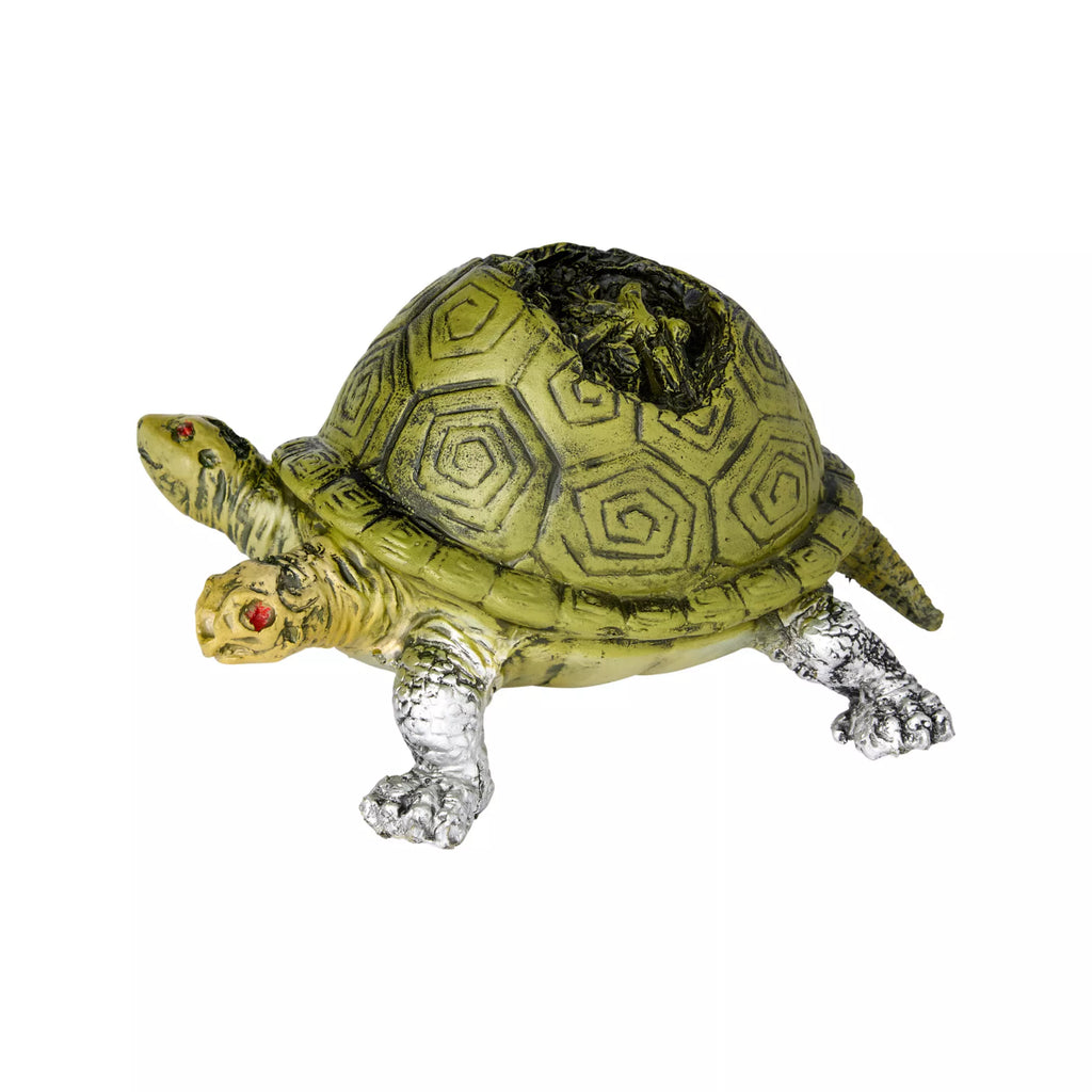 Two Headed Turtle