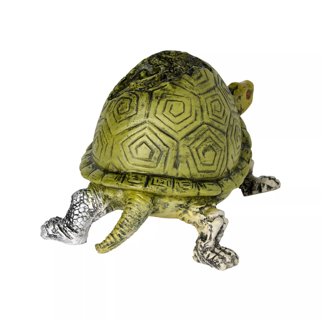 Two Headed Turtle