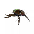 Zombie Cockroach Static Prop