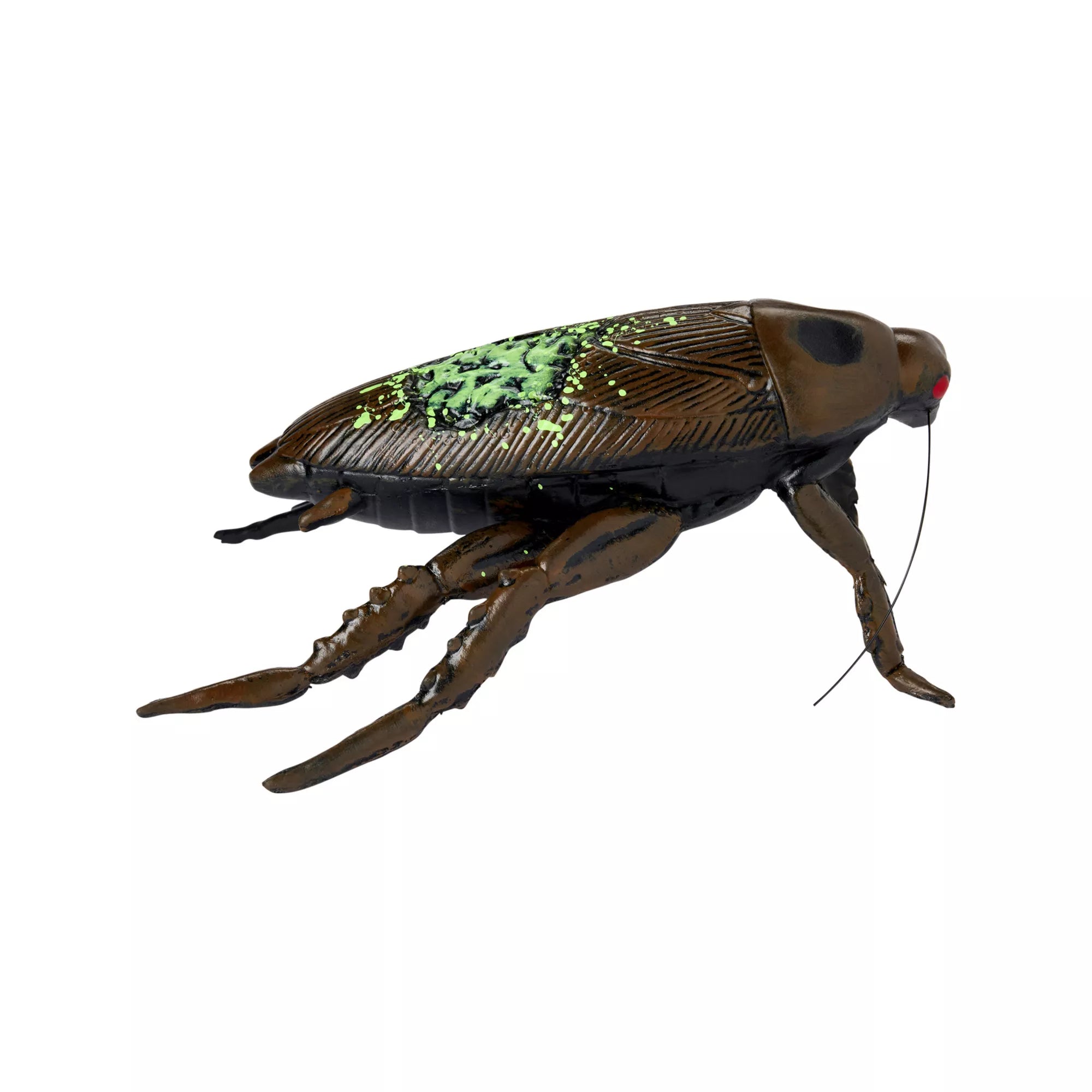 Zombie Cockroach Static Prop