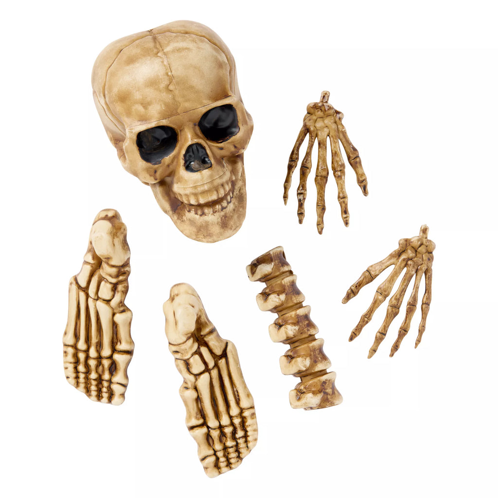 12-Piece Bag of Decaying Bones