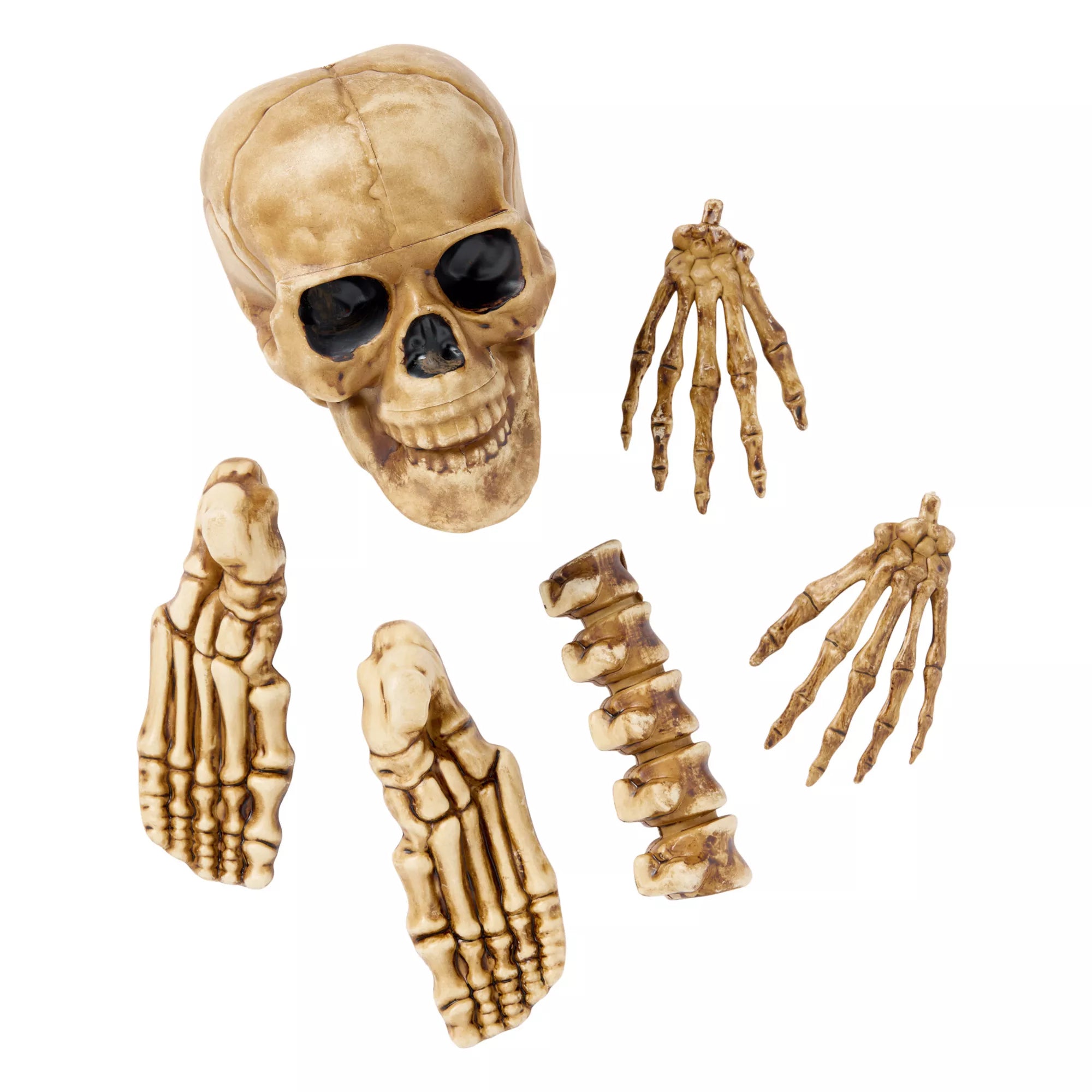 12-Piece Bag of Decaying Bones