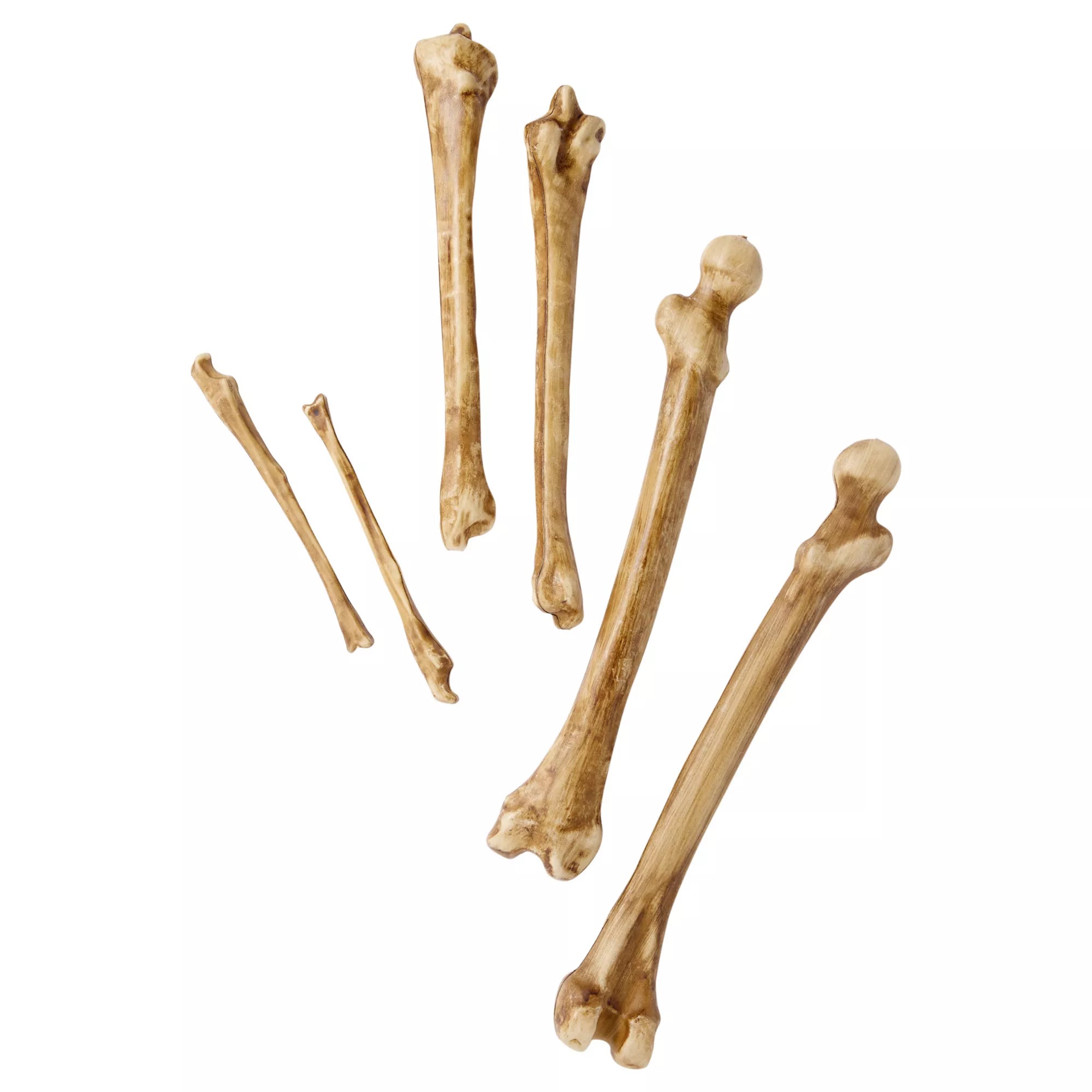 12-Piece Bag of Decaying Bones