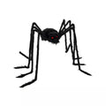5 Ft Black Spider