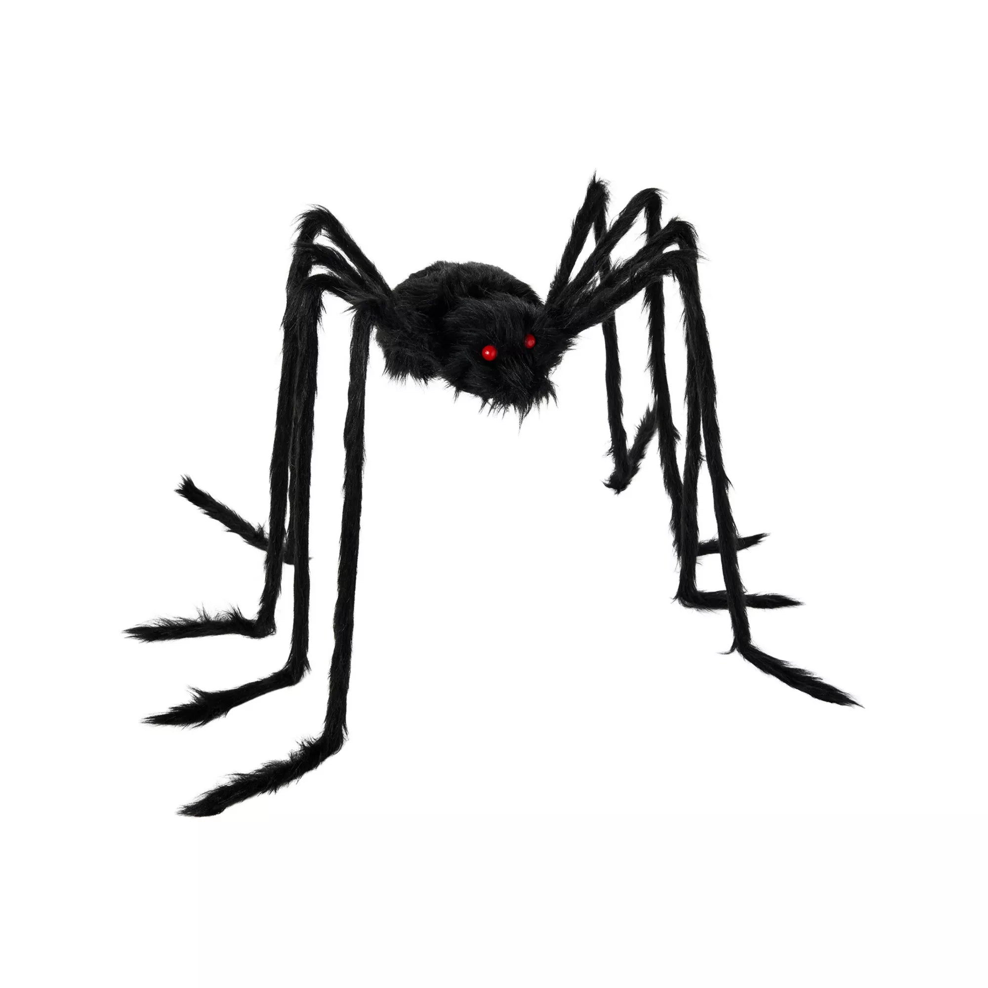 5 Ft Black Spider