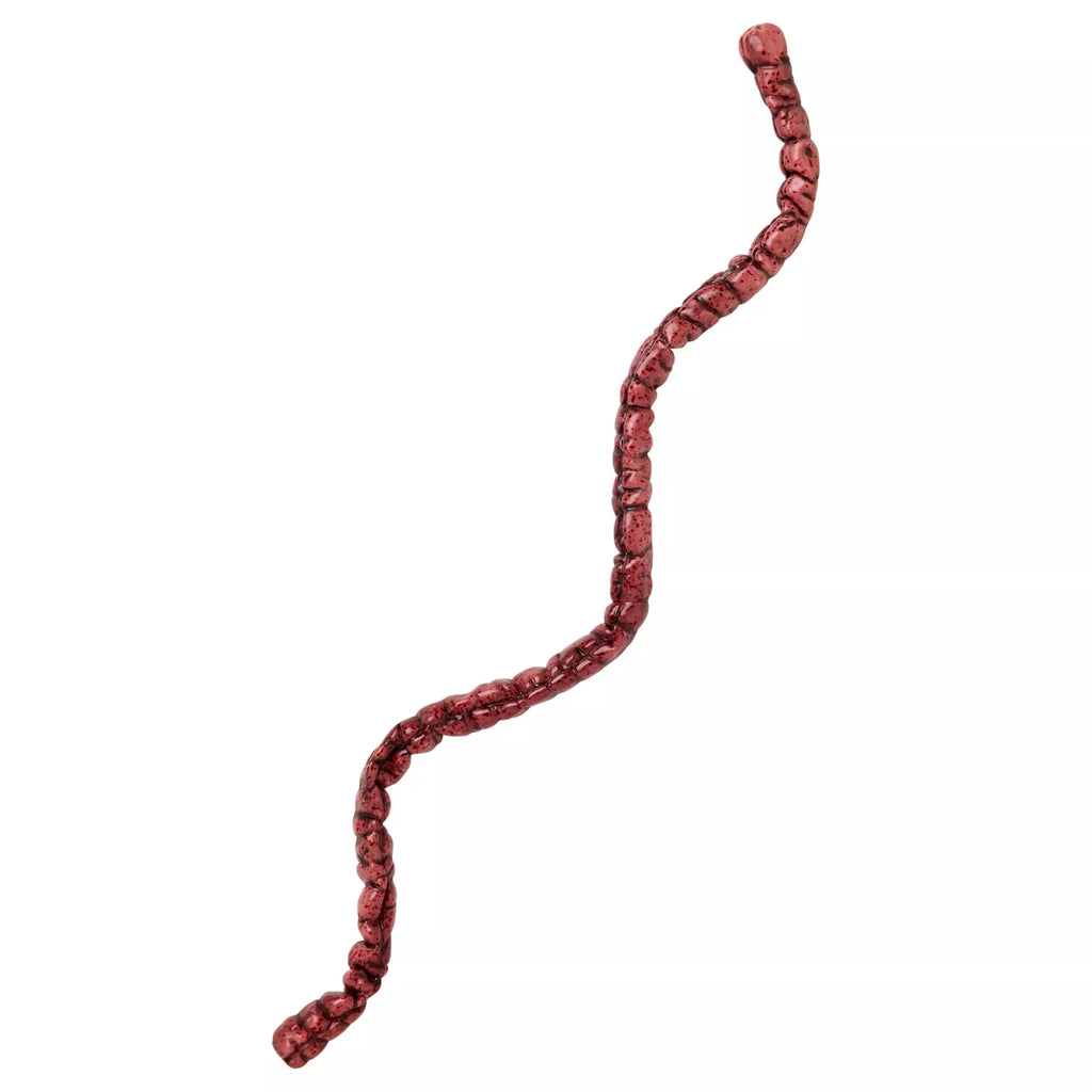 Poseable Intestine