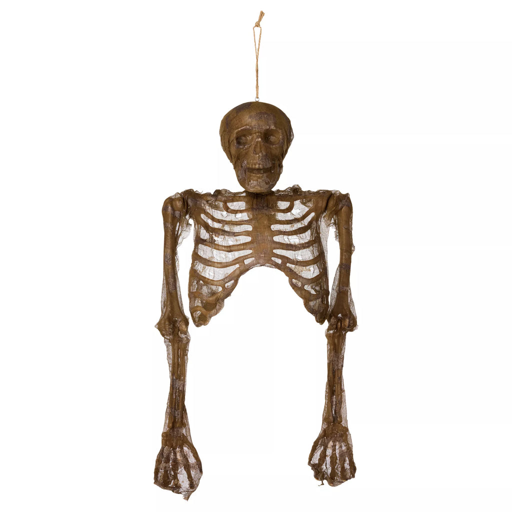 Hanging Decaying Skeleton Half Body