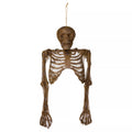 Hanging Decaying Skeleton Half Body
