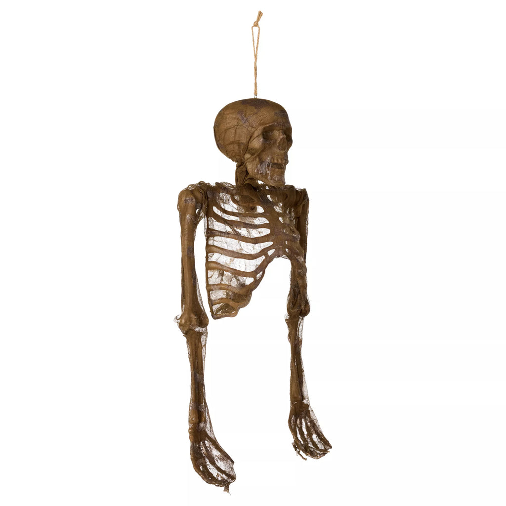 Hanging Decaying Skeleton Half Body