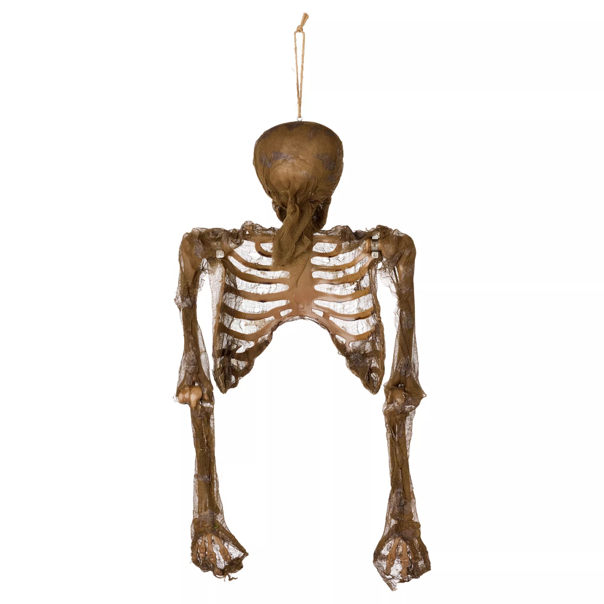 Hanging Decaying Skeleton Half Body