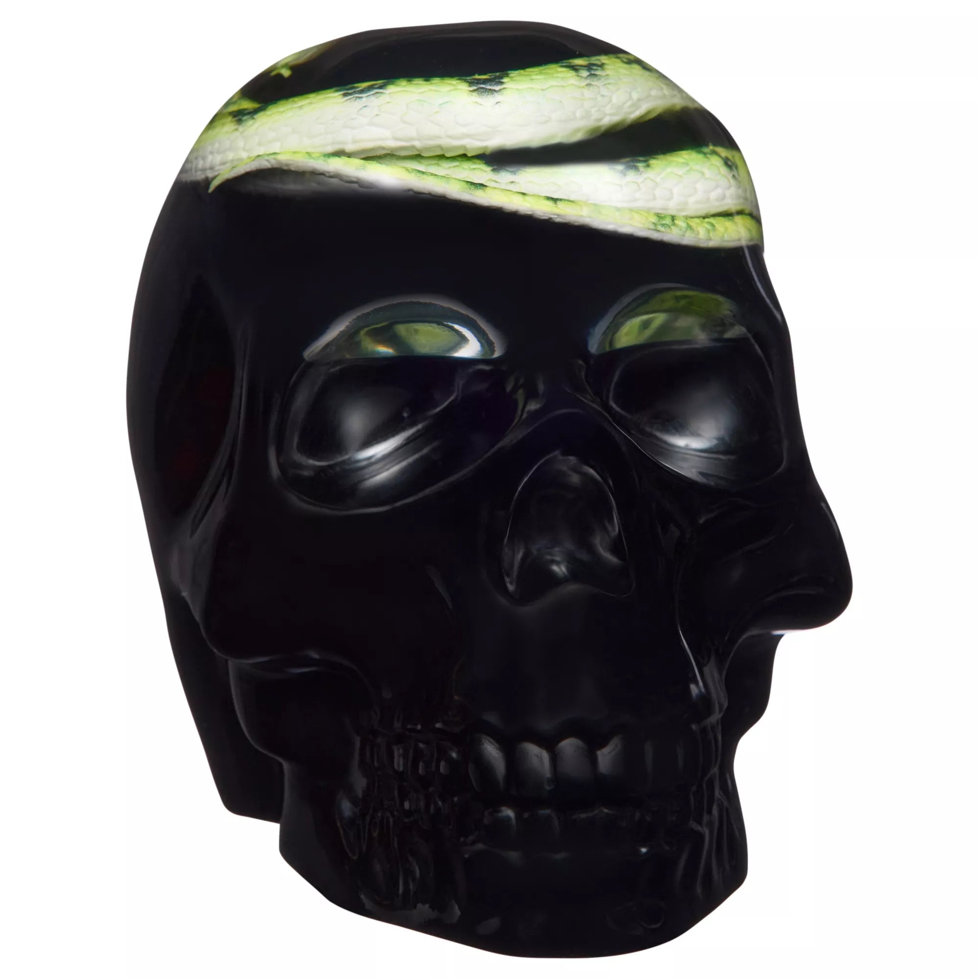 Enchanted Shadows Snake Skull
