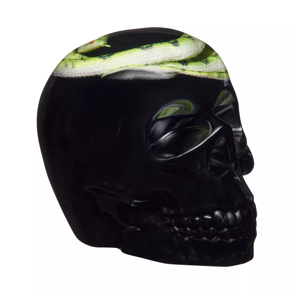 Enchanted Shadows Snake Skull