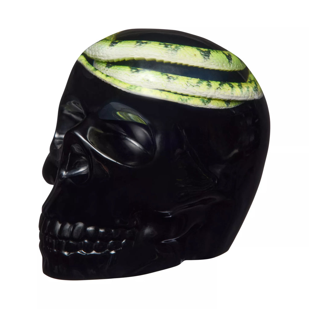 Enchanted Shadows Snake Skull
