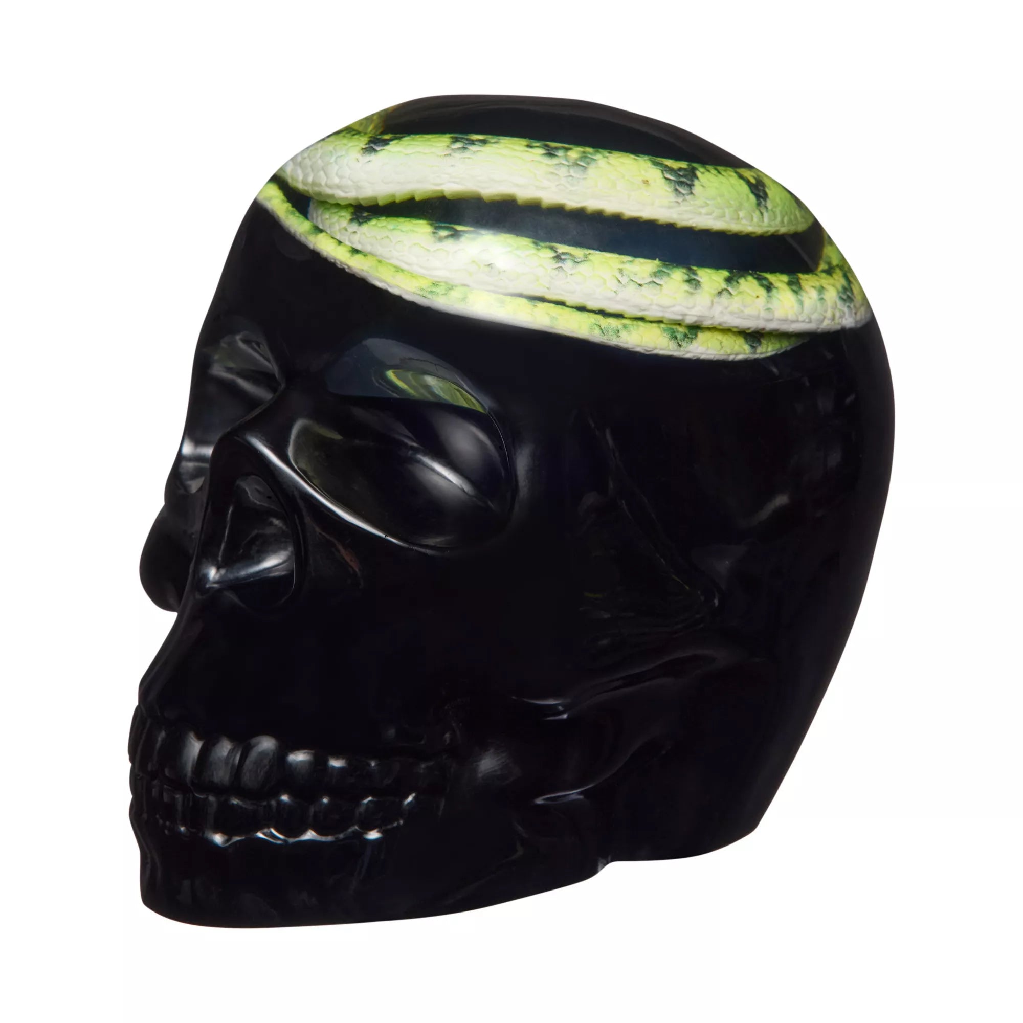Enchanted Shadows Snake Skull