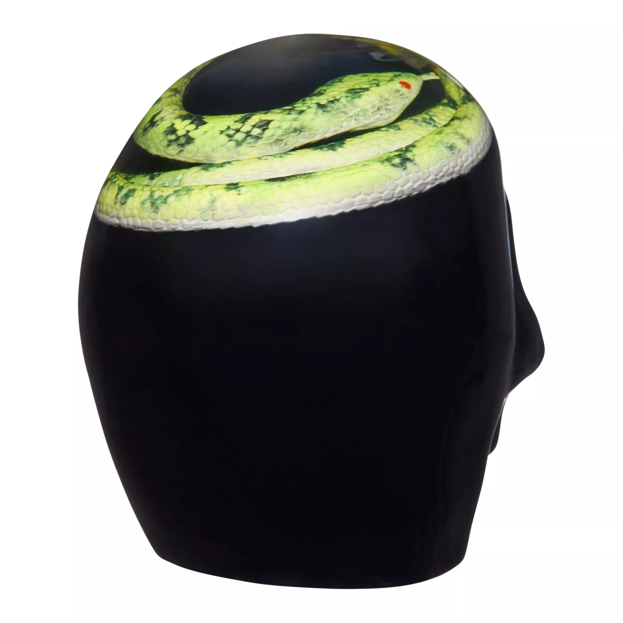 Enchanted Shadows Snake Skull