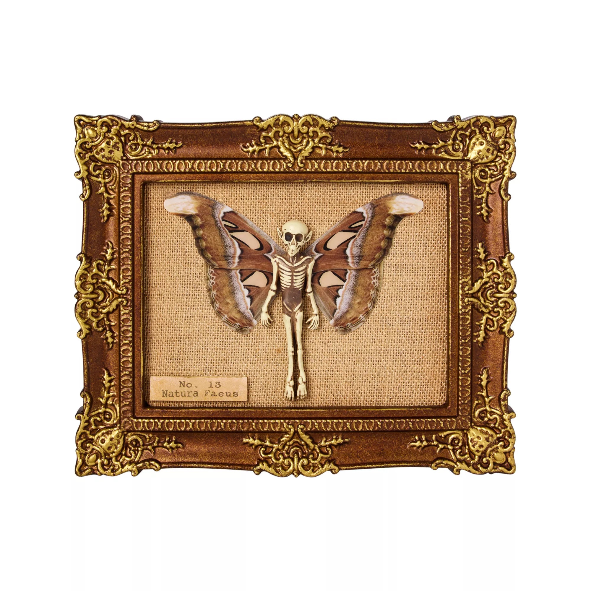 Fairy Skeleton Sign