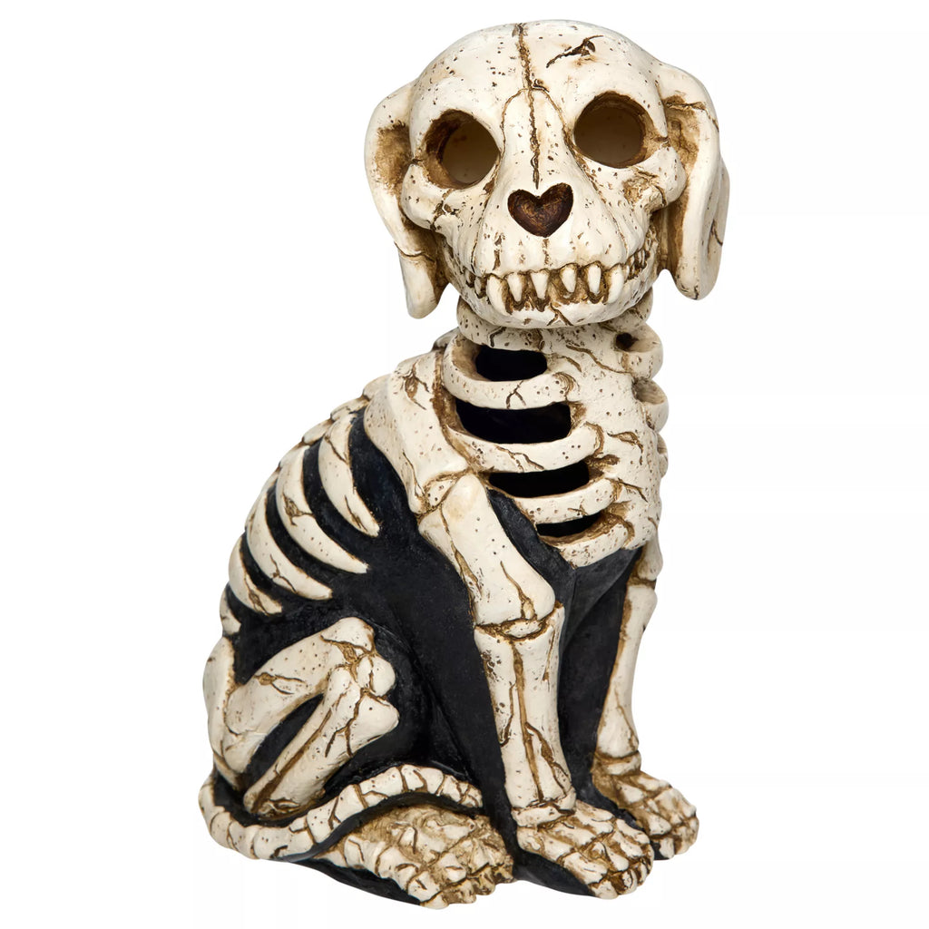 Light-Up Skeleton Dog Statue