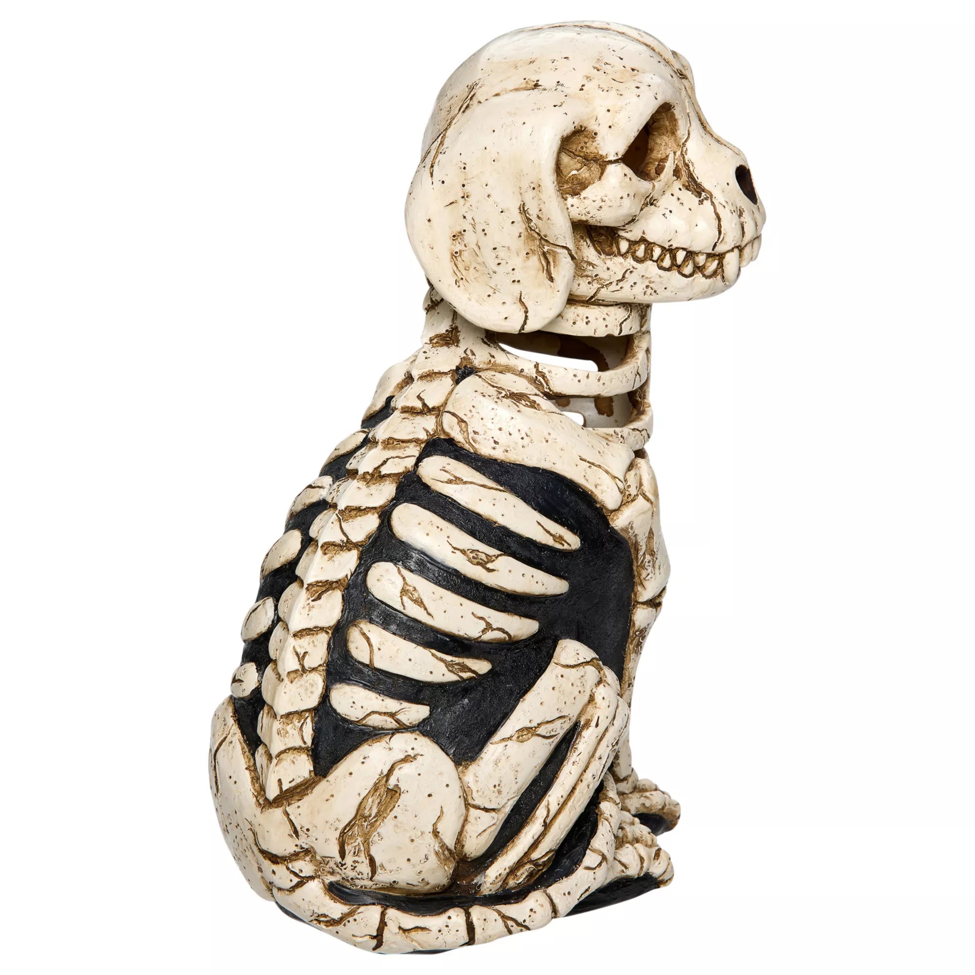 Light-Up Skeleton Dog Statue