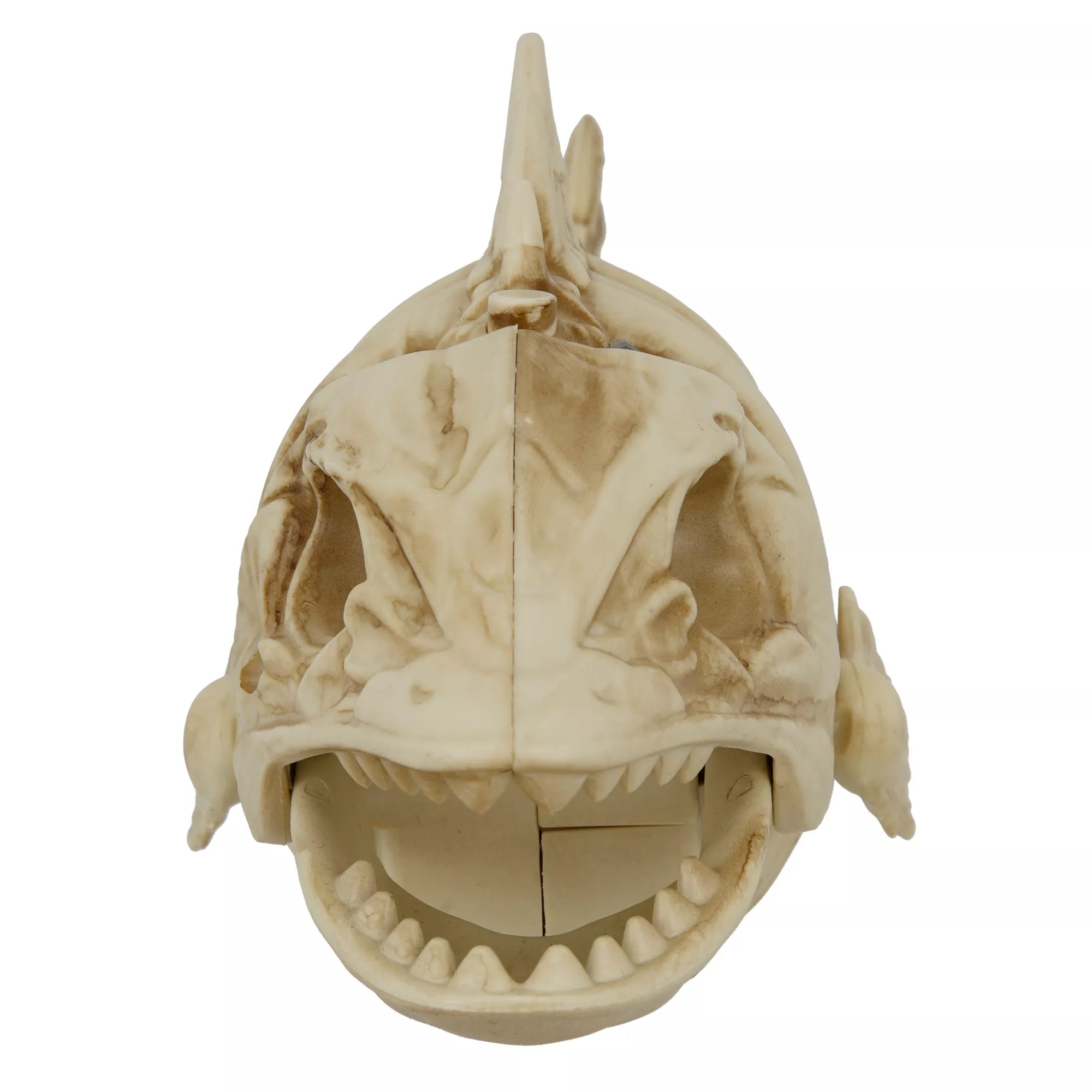 Light-Up Eyes Skeleton Fish