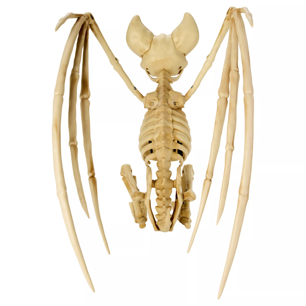 Skeleton Bat with LED Eyes