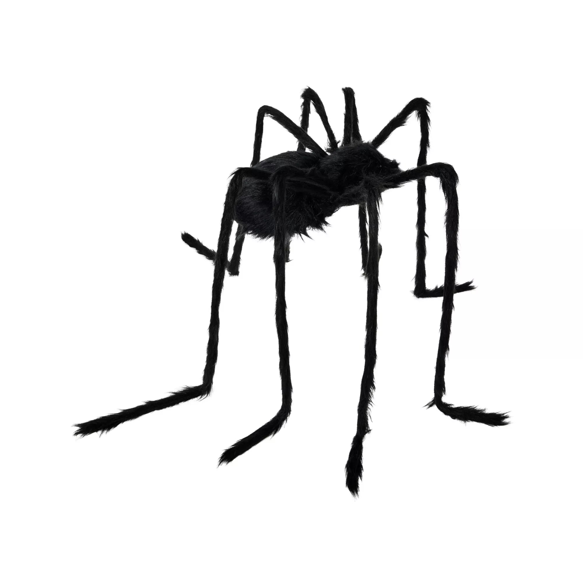 5 Ft Light-Up Black Spider