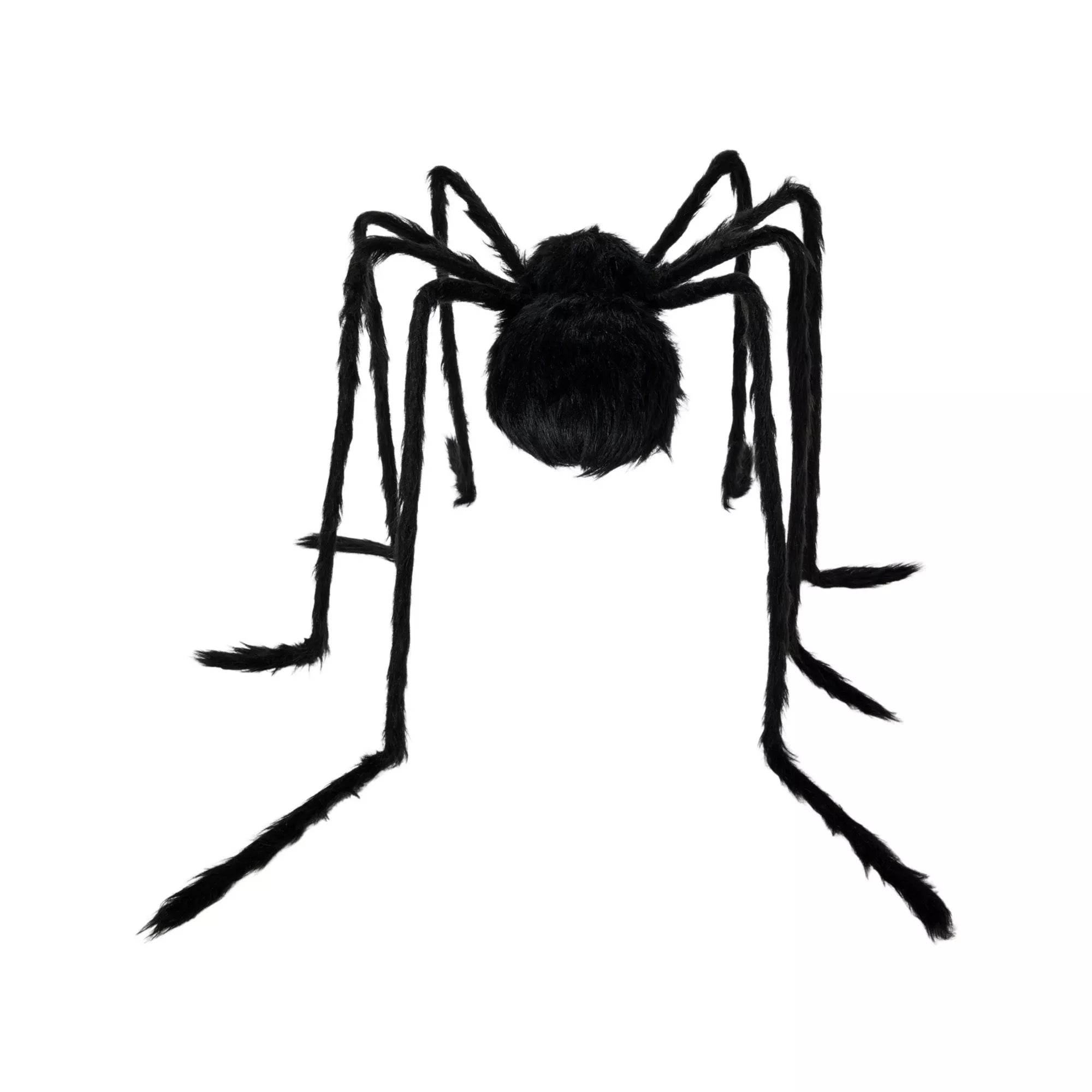 5 Ft Light-Up Black Spider