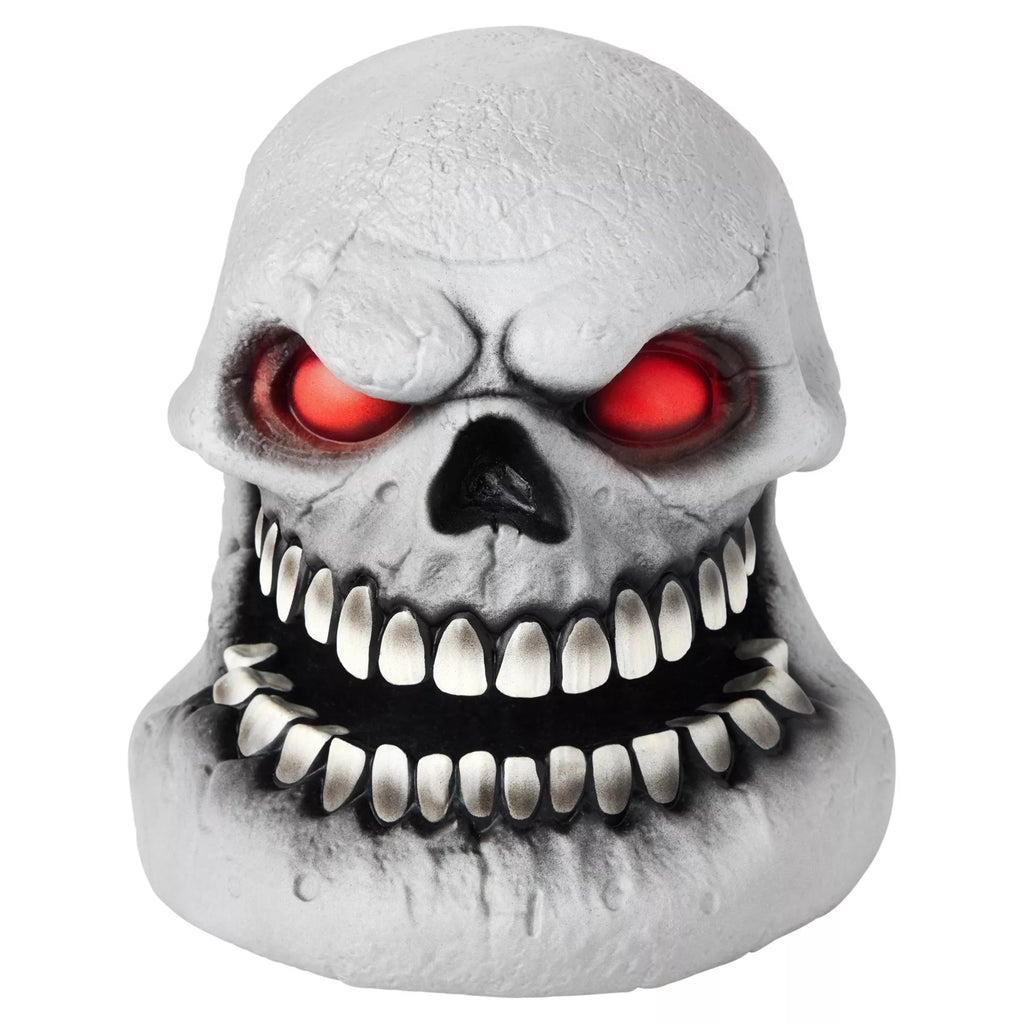 Skull Talking Head