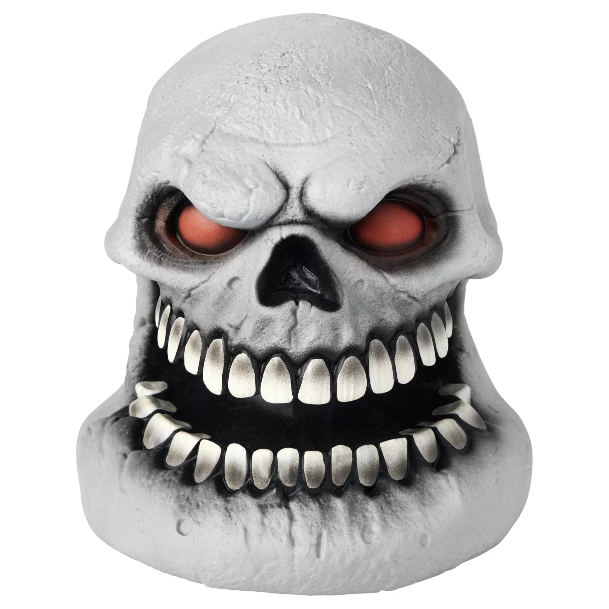Skull Talking Head