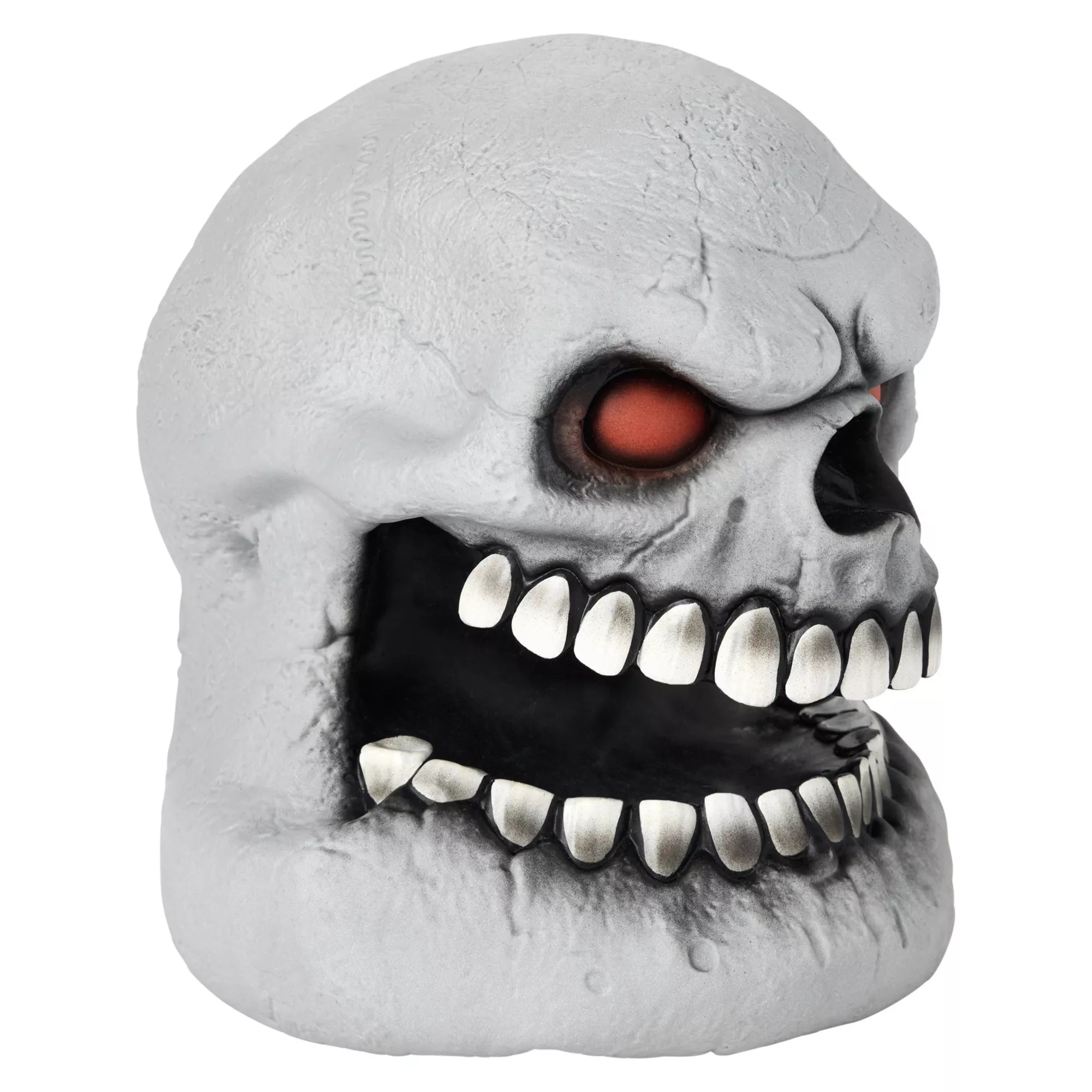 Skull Talking Head