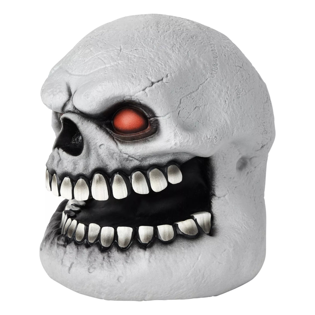 Skull Talking Head
