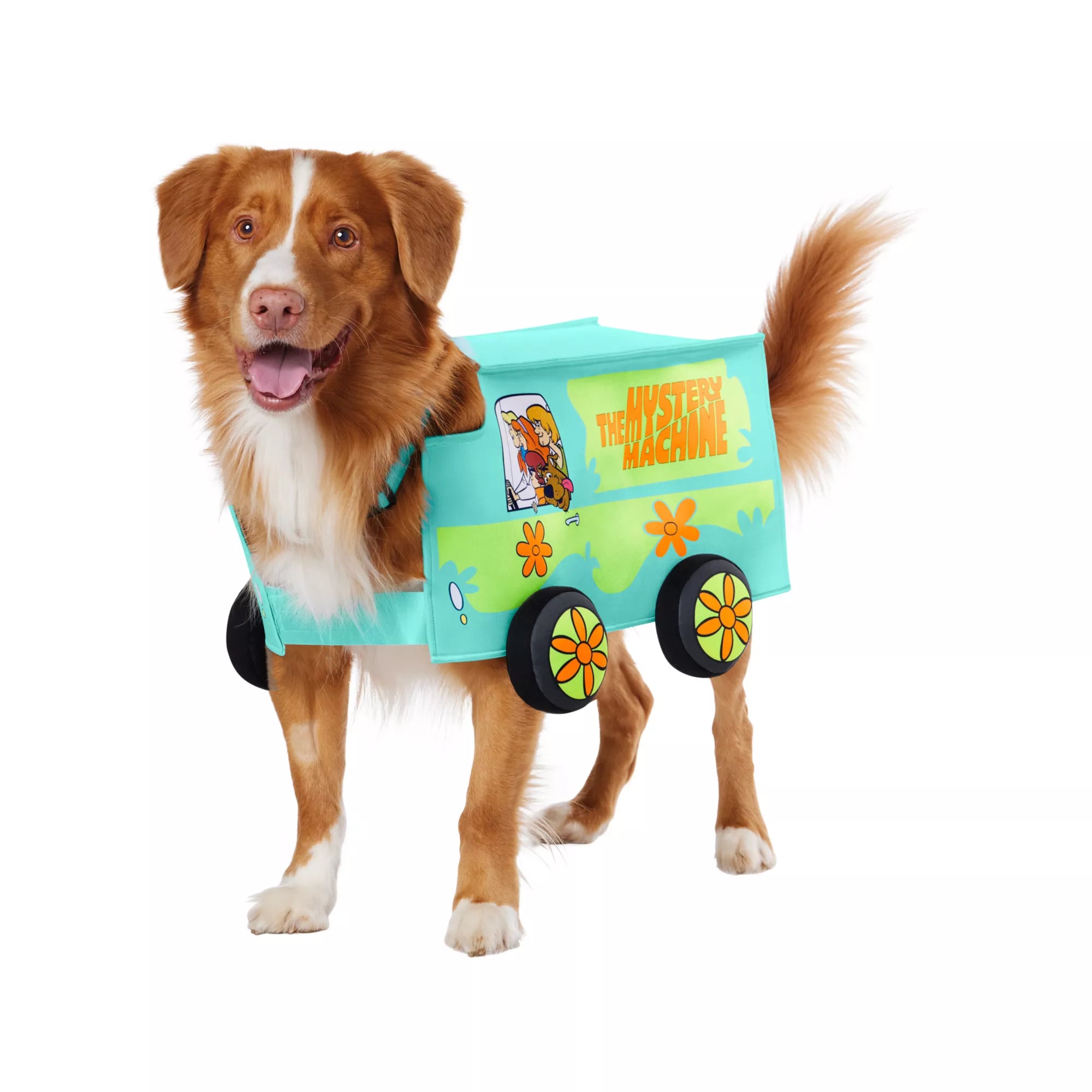 Scooby Doo Mystery Machine Pet Costume