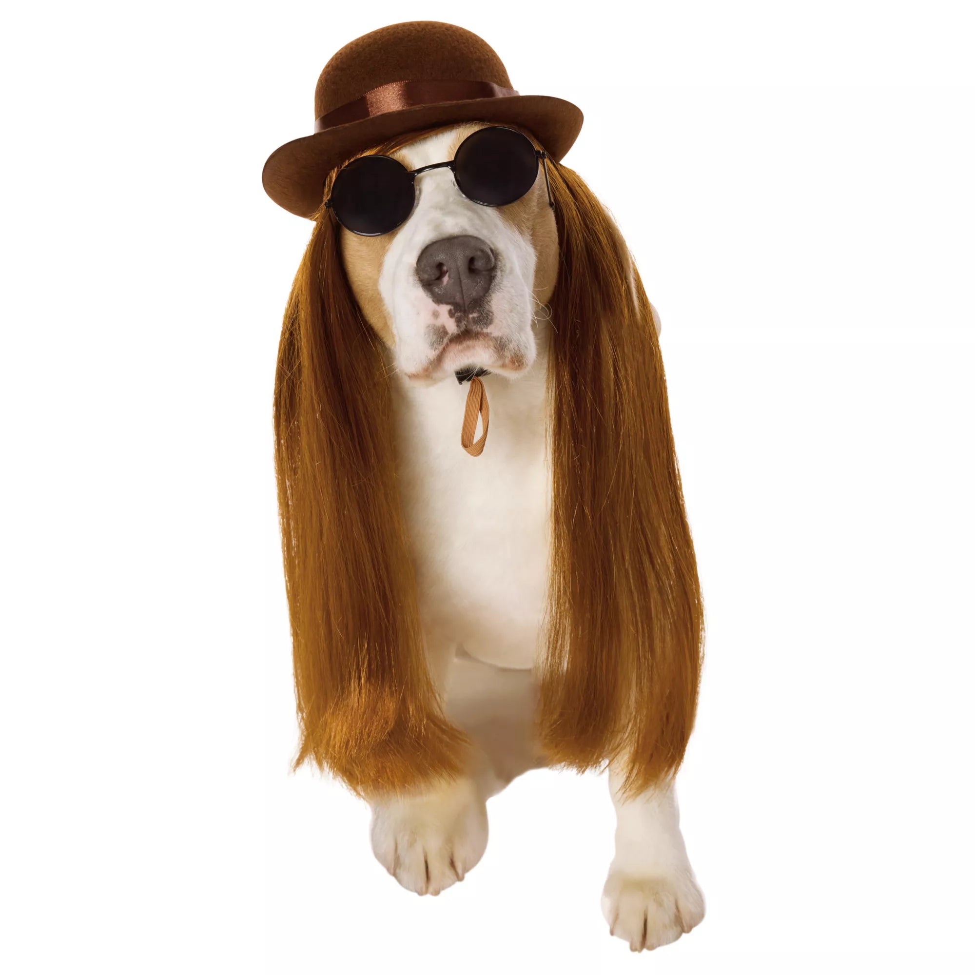 Cousin Itt Pet Costume - The Addams Family