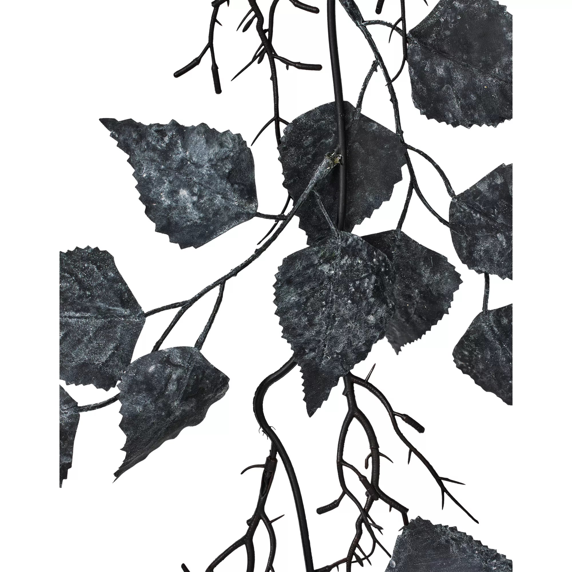 Fake Black Foliage