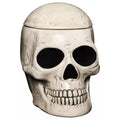 Skull Cookie Jar