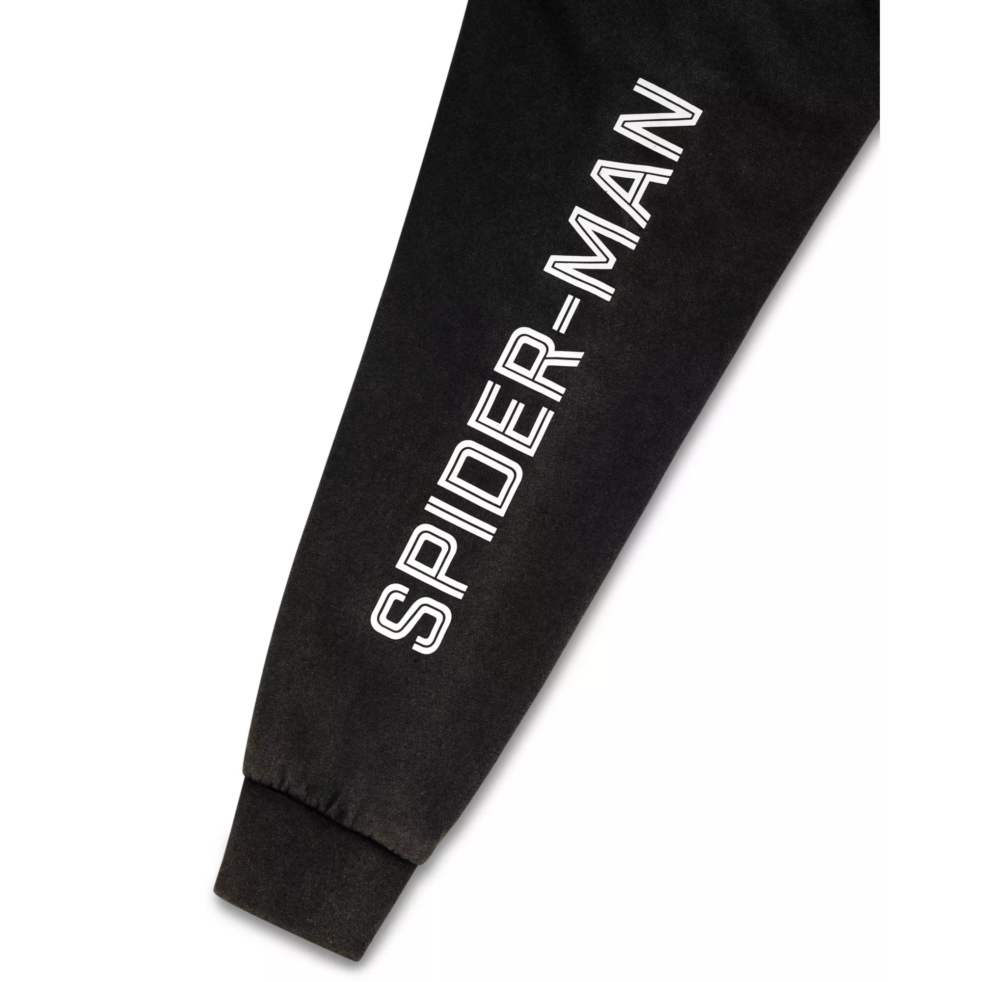 Spider-Man Brand New Day Washed Hoodie - Marvel
