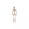 5 Ft Pose 'N' Stay Skeleton