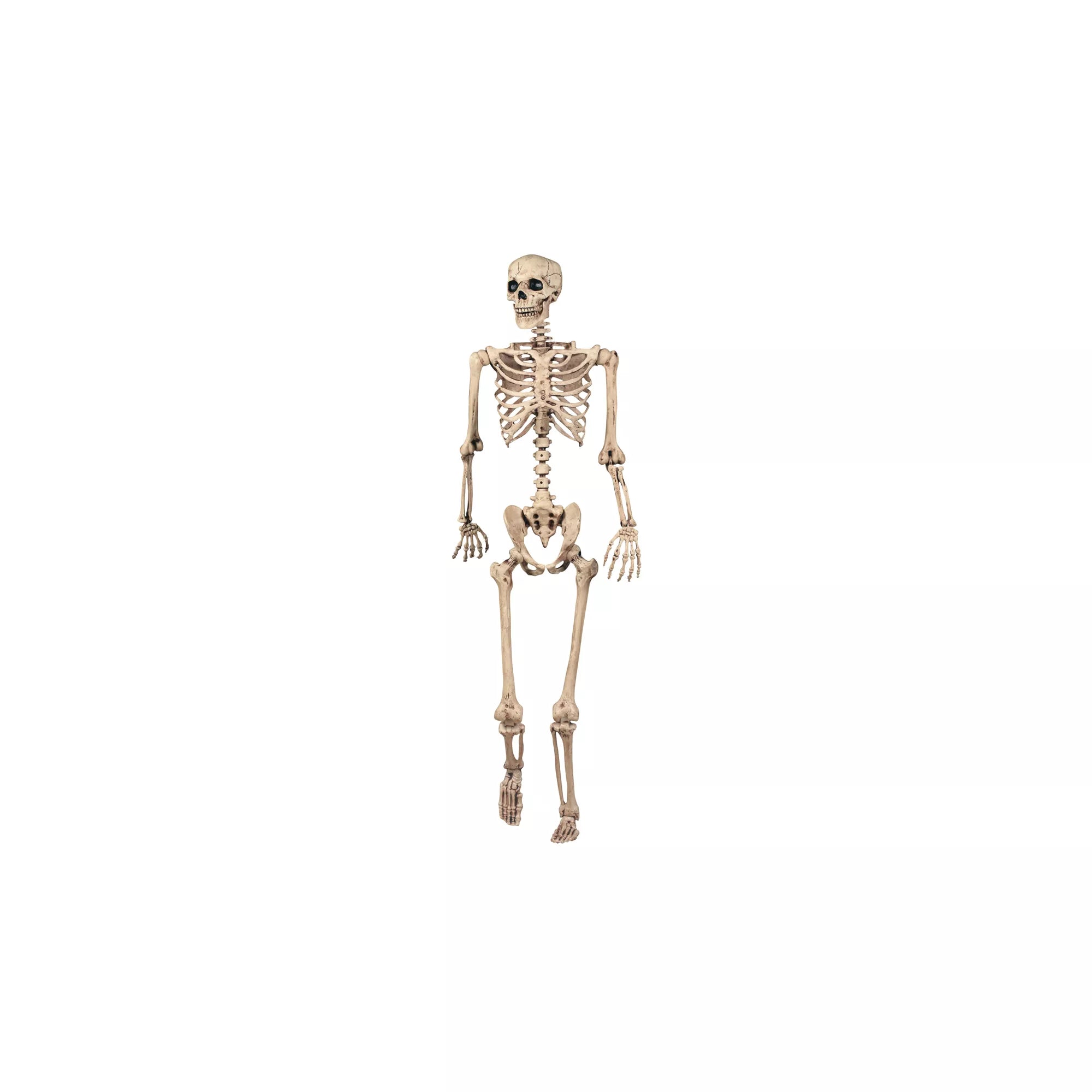 5 Ft Pose 'N' Stay Skeleton