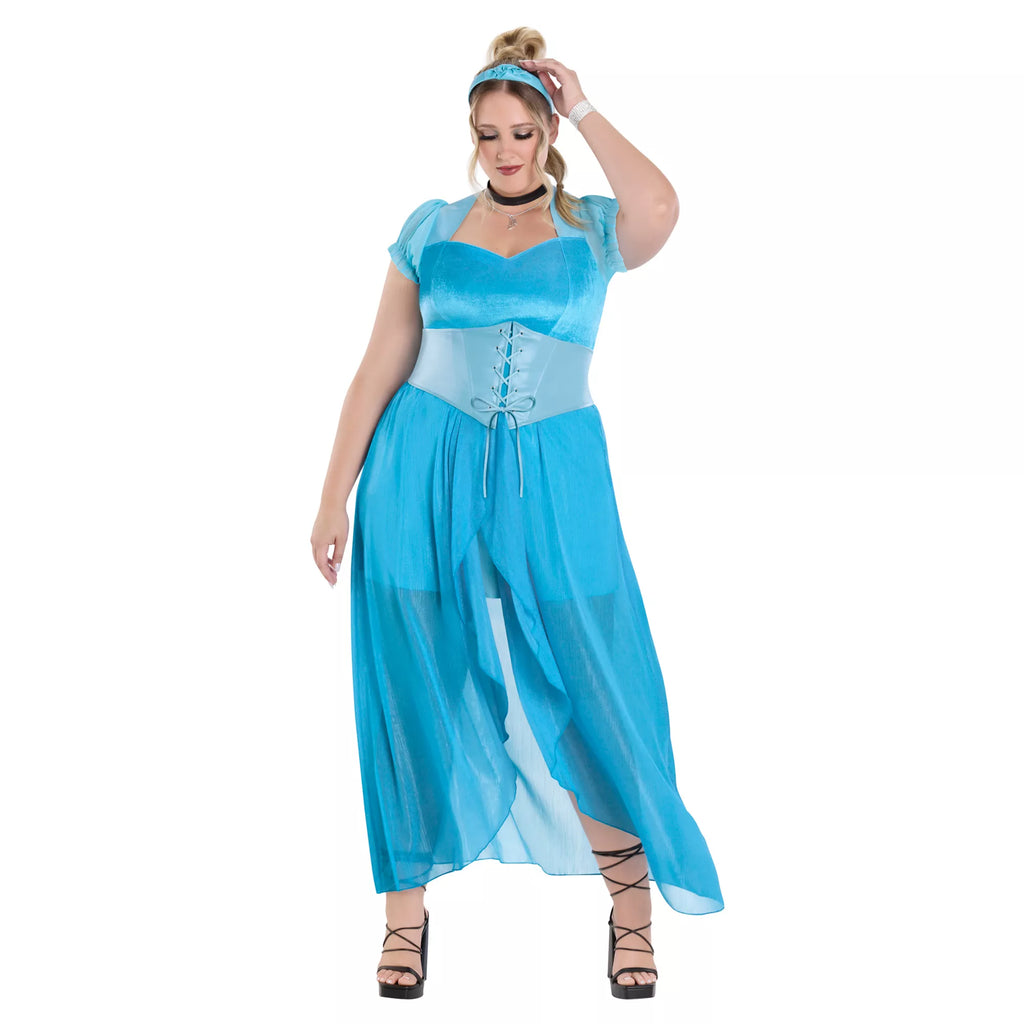 Adult Cinderella Dress Costume- Disney Princess