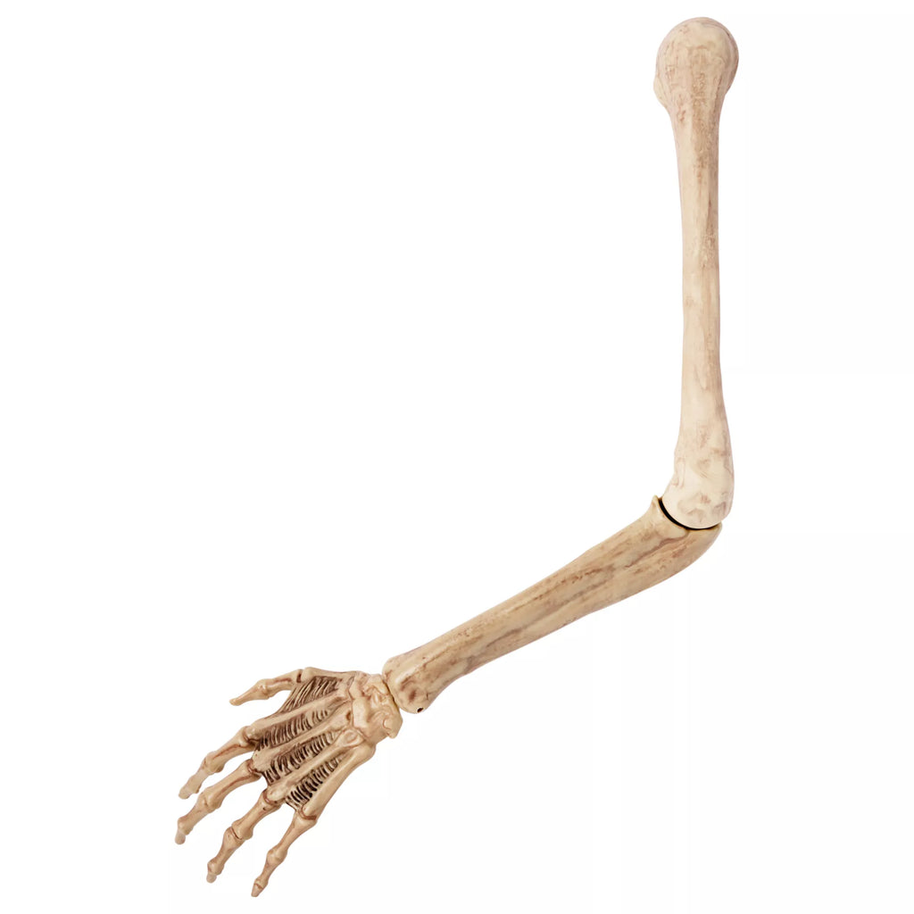 Skeleton Arm Prop - 2023 Spirit Hallows Cemetery