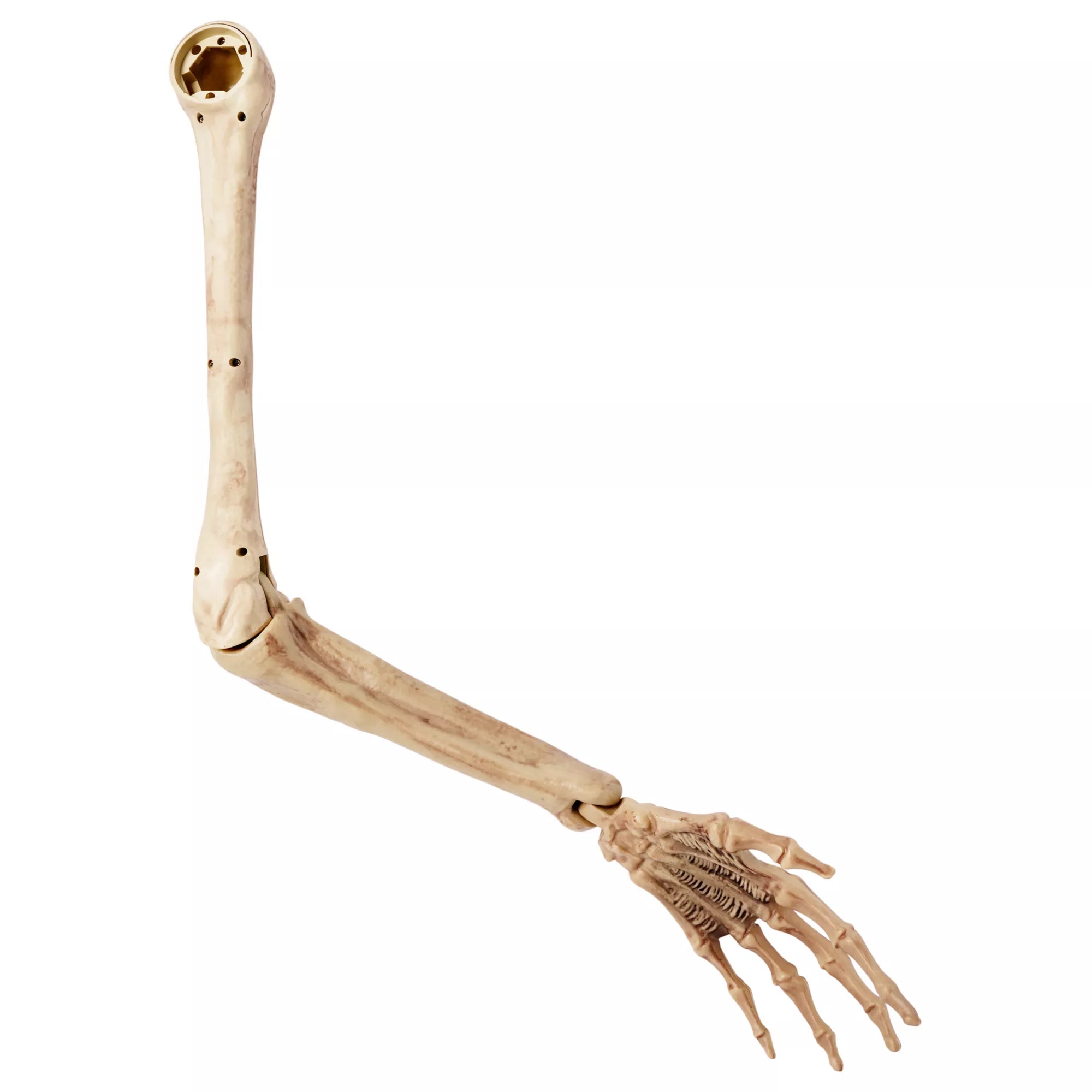 Skeleton Arm Prop - 2023 Spirit Hallows Cemetery
