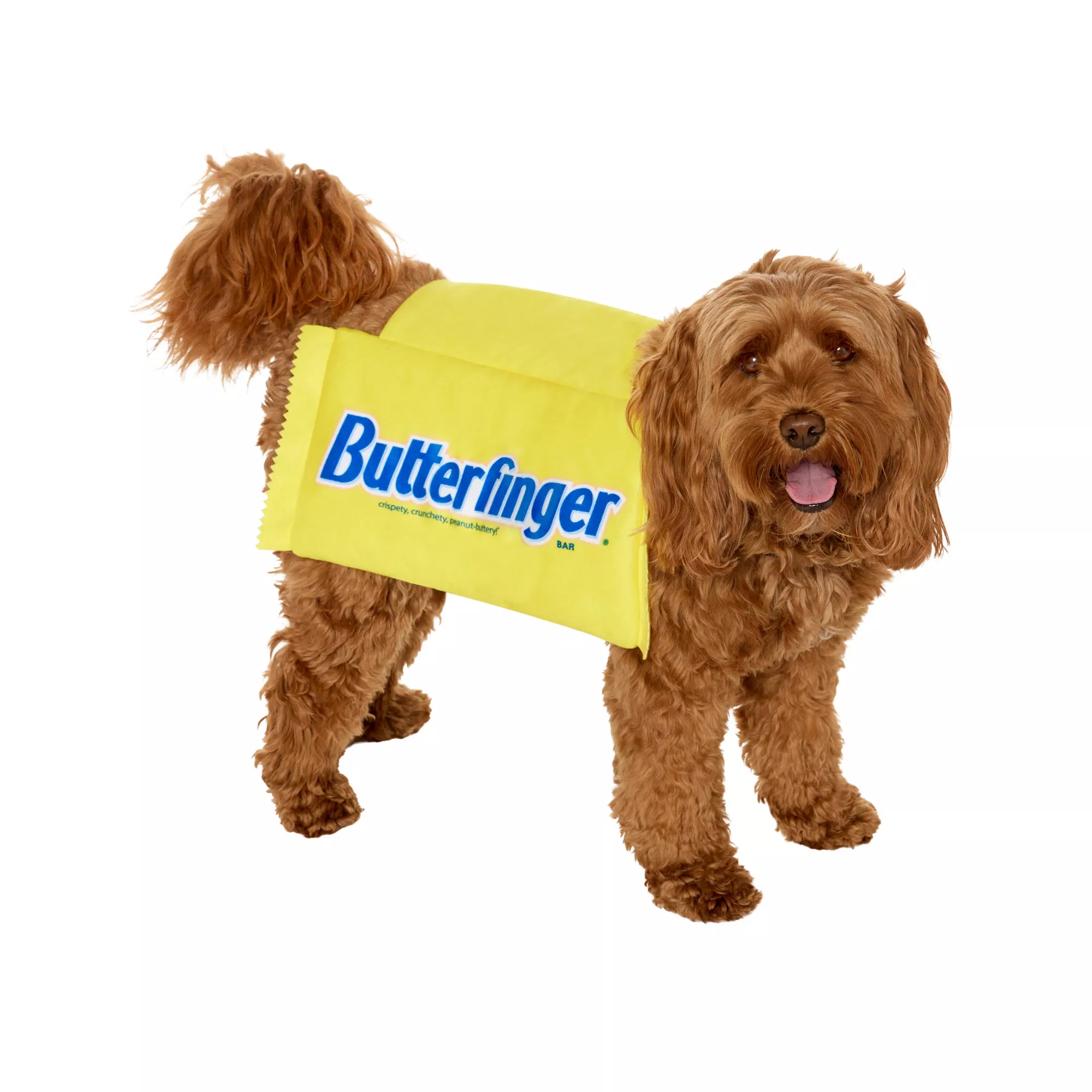 Butterfinger Pet Costume